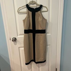 Ann Taylor Elegant Black and Tan Knee Length Dress
